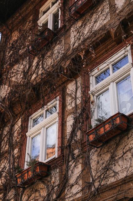 ventanas de madera en valencia tendenzzia 1